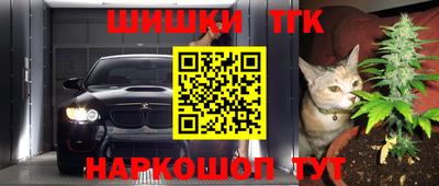 тгк Новозыбков