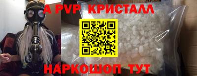 тгк Новозыбков