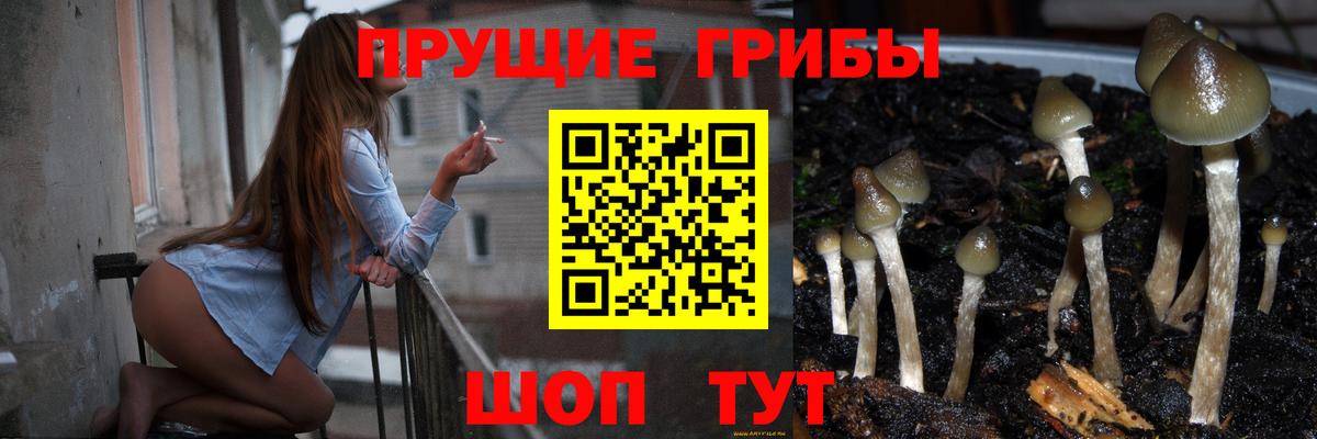 Галлюциногенные грибы ЛСД  Вход с VPN  Реутов  Галлюциногенные грибы прущие грибы 
